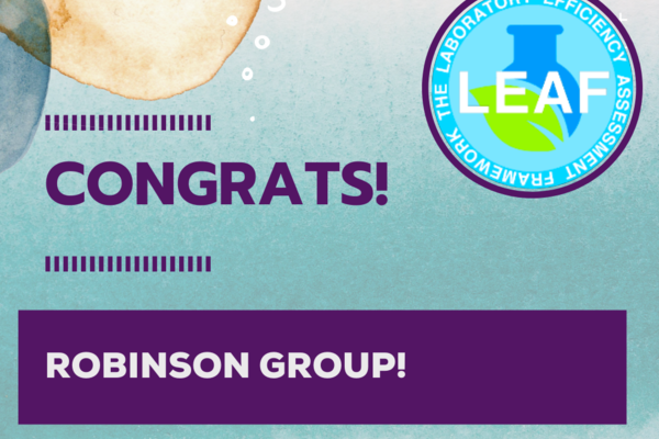 main news image for robinson group's leaf award.